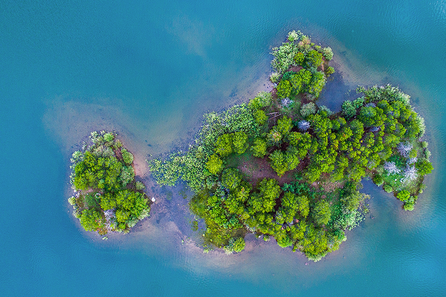 Harmonic Financial Planning Logo Mark